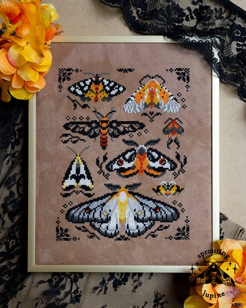 Ochre Wings by Sprouting Lupine