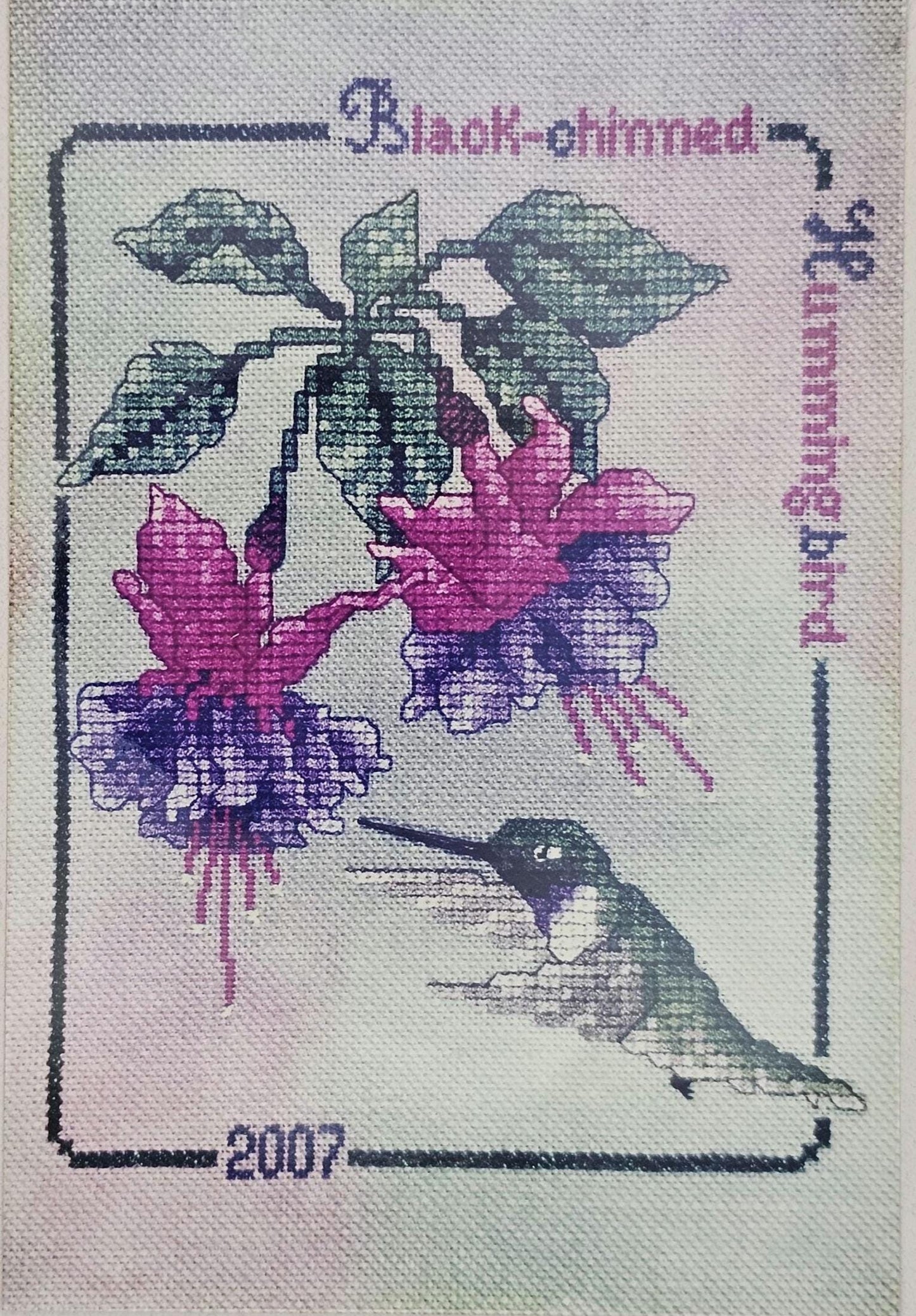 Black Chinned Hummingbird Vintage Cross Stitch Pattern