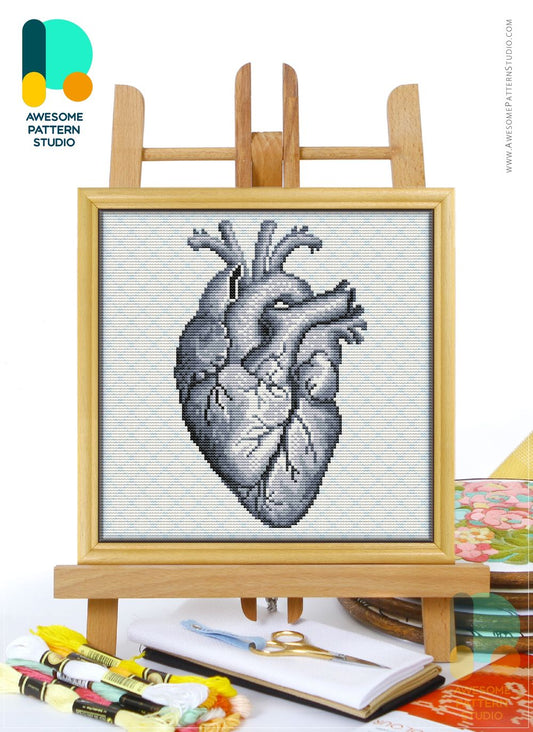 Heart the Human Anatomy by Awesome Pattern Studio