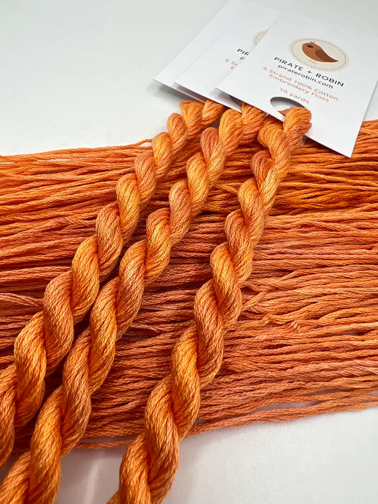 Pirate + Robin Embroidery Floss Variegated