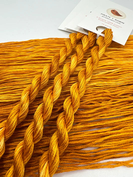 Pirate + Robin Embroidery Floss Variegated