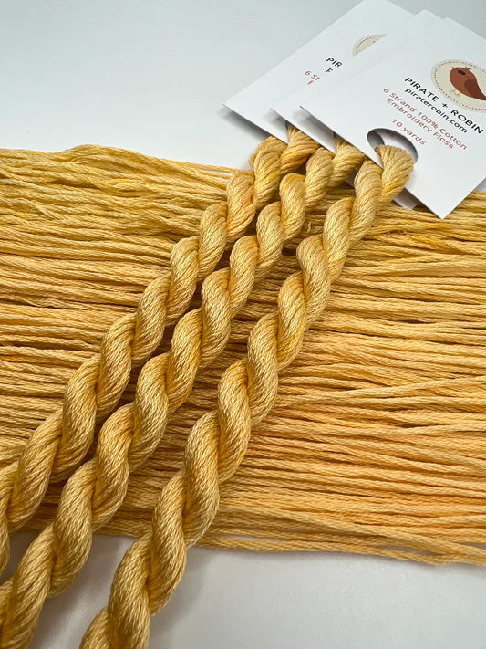 Pirate + Robin Embroidery Floss Variegated
