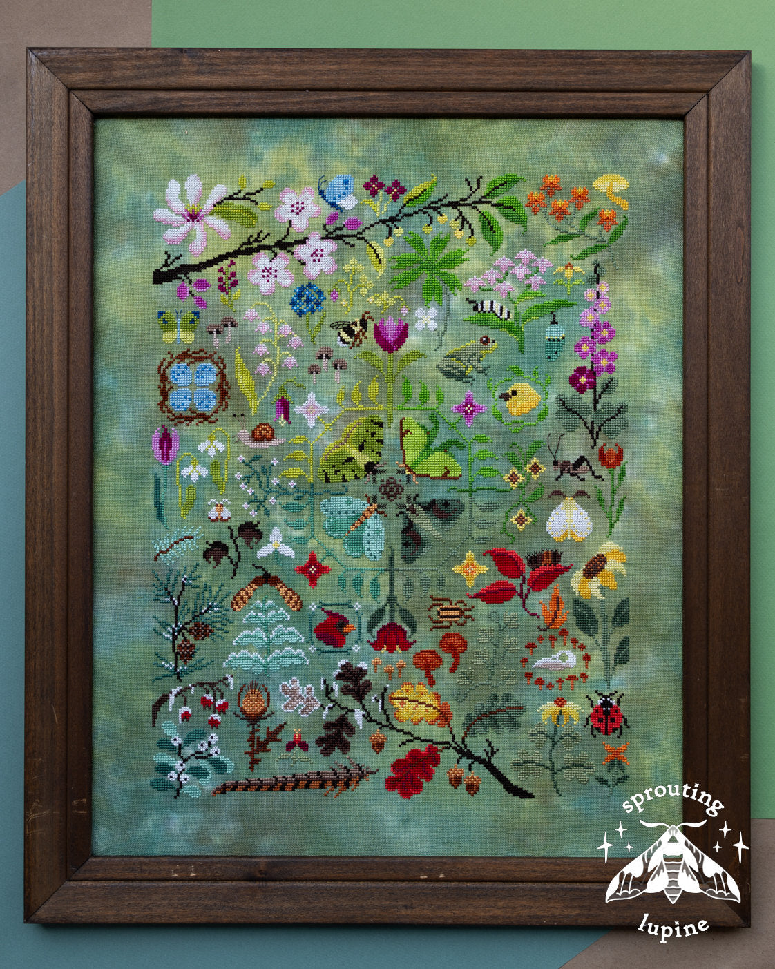 Natures Journey by Sprouting Lupine