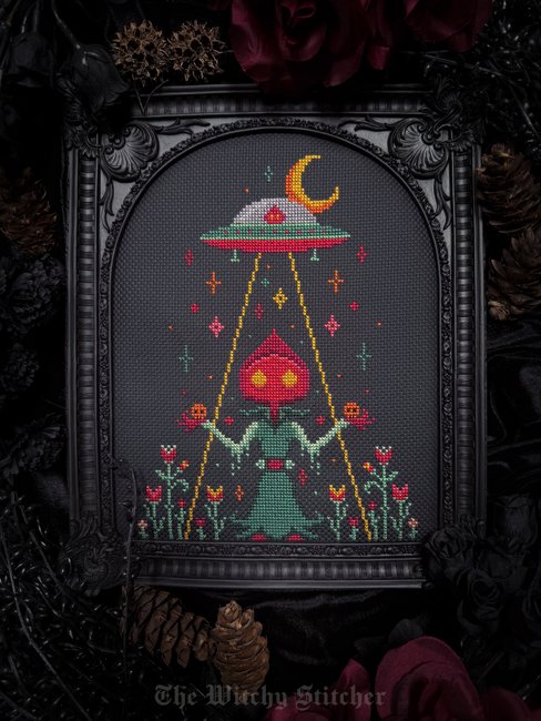 Take Me Home by Witchy Stitcher