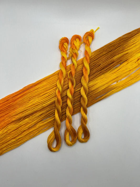Pirate + Robin Embroidery Floss Variegated