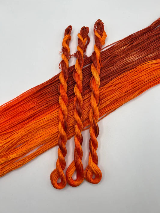 Pirate + Robin Embroidery Floss Variegated
