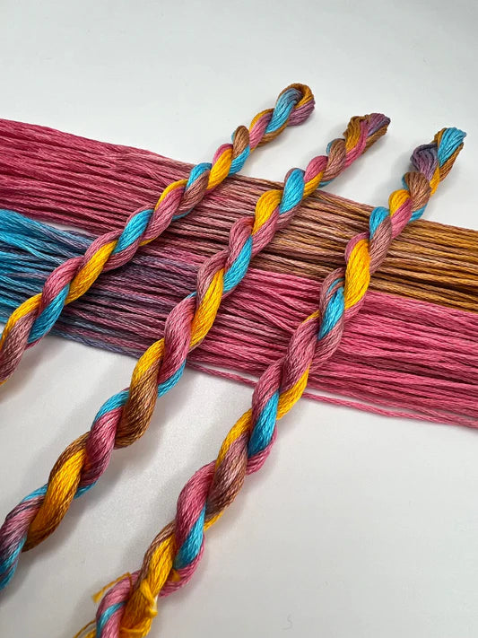Pirate + Robin Embroidery Floss Variegated