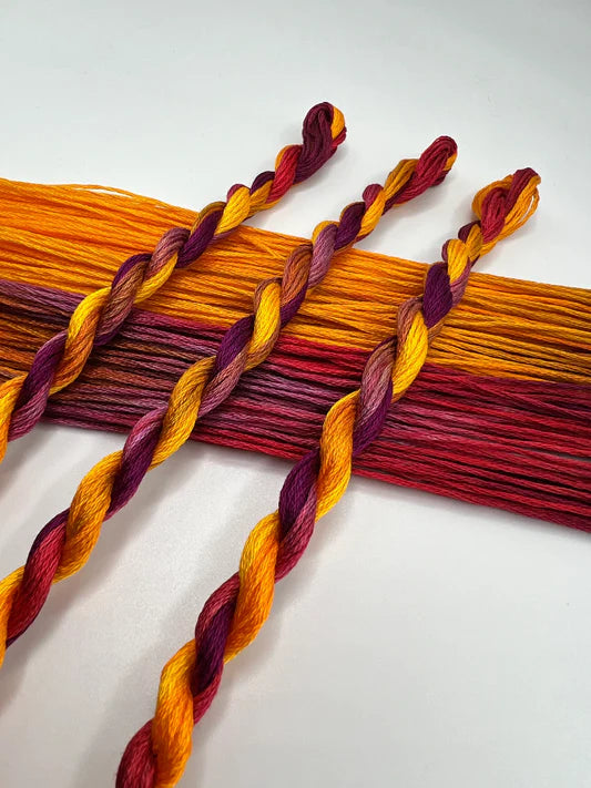 Pirate + Robin Embroidery Floss Variegated