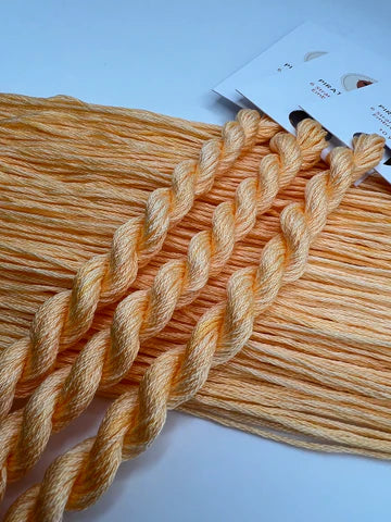 Pirate + Robin Embroidery Floss