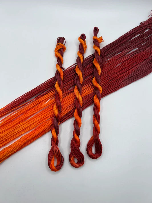 Pirate + Robin Embroidery Floss Variegated