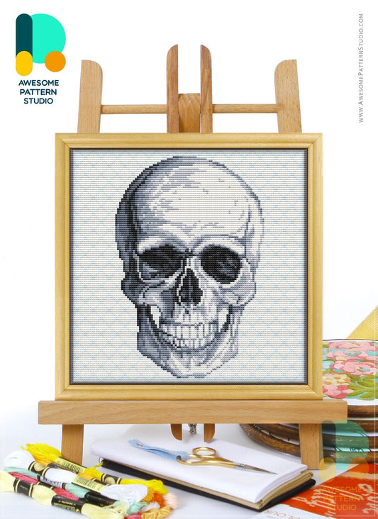 Skull The Human Anatomy by Awesome Pattern Studio