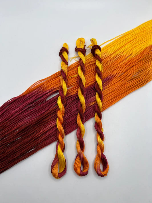 Pirate + Robin Embroidery Floss Variegated