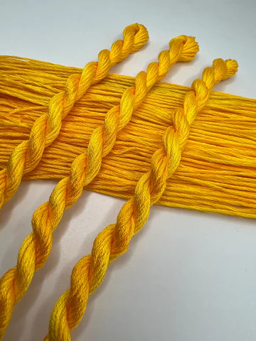 Pirate + Robin Embroidery Floss